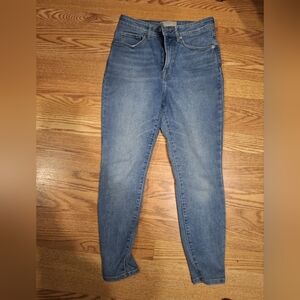 everlane curvy way high skinny jean crop